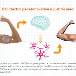 Digital Frequency Conversion EMS Muscle Stimulator Body Shaping Massager - Image 8